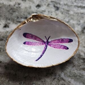 Hand Crafted Dragonfly Shell Trinket,  Holder, Coastal,‎ Crafts, Gifts